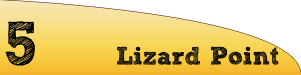 lizard_point